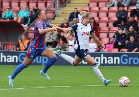 Tottenham Hotspur v Crystal Palace - Barclays Women's Super League