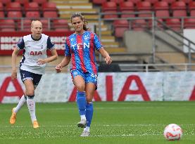 Tottenham Hotspur v Crystal Palace - Barclays Women's Super League