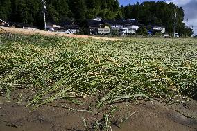 Aftermath of heavy rain in Ishikawa Pref.