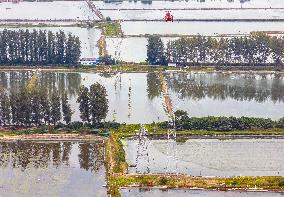 Tower Erection in Taizhou