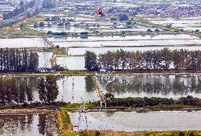 Tower Erection in Taizhou