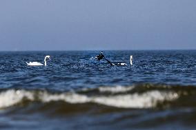 Daily Life In Polish Pomerania Curort