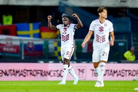 Hellas Verona v Torino FC - Serie A Enilive