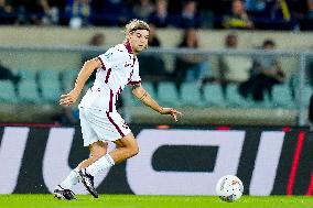 Hellas Verona v Torino FC - Serie A Enilive