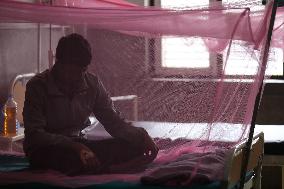 Cases Of Dengue Starts To Rise In Nepal