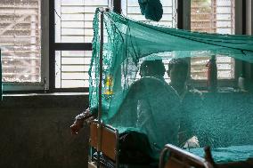 Cases Of Dengue Starts To Rise In Nepal