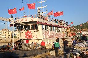 Seafood Wholesale in Qingdao