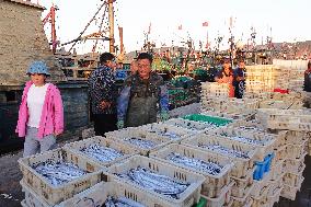 Seafood Wholesale in Qingdao