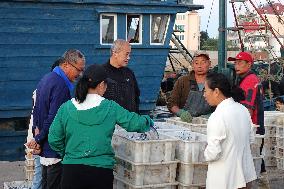 Seafood Wholesale in Qingdao