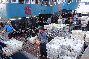 Seafood Wholesale in Qingdao