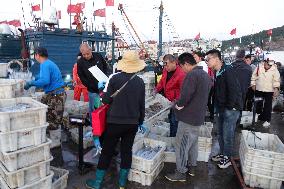 Seafood Wholesale in Qingdao