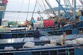 Seafood Wholesale in Qingdao