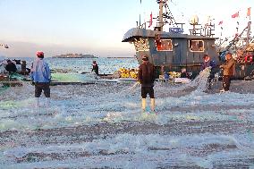 Seafood Wholesale in Qingdao