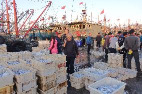 Seafood Wholesale in Qingdao