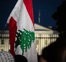 Protest for Lebanon at the White House