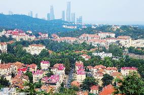 Urban Buildings in Qingdao