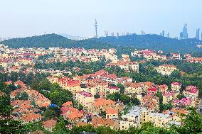 Urban Buildings in Qingdao