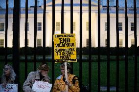 Protest for Lebanon at the White House