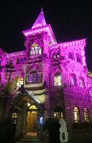 A Light Show at Hengshan Moller Villa Hotel in Shanghai