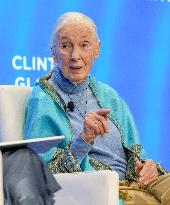 Jane Goodall At Clinton Global Initiative - NYC