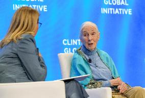 Jane Goodall At Clinton Global Initiative - NYC