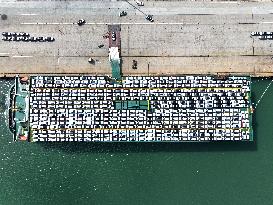 Lianyungang Port Automobile Export