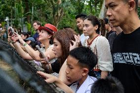 Moo Deng: Thailand's Pygmy Baby Hippo