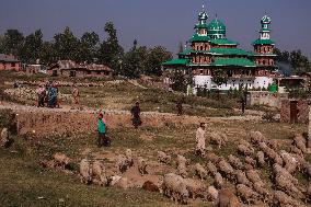 2nd Phase Of Assembly Elections In Jammu Kashmir