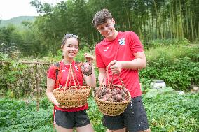 British Students Experience Farming in Huzhou