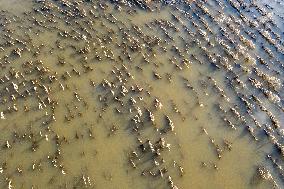 Aftermath Of The Flooding In Southern Poland