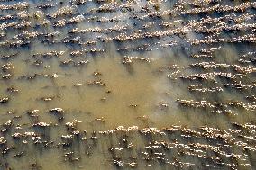 Aftermath Of The Flooding In Southern Poland