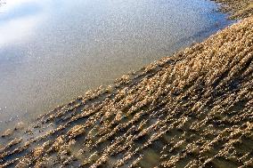 Aftermath Of The Flooding In Southern Poland