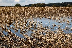 Aftermath Of The Flooding In Southern Poland