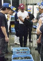 Year's first puffer fish auction in western Japan