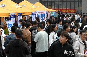 Campus Job Fair Held in Handan