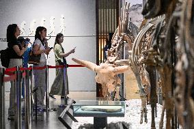 Visitors Visit The Nanjing Museum in Nanjing