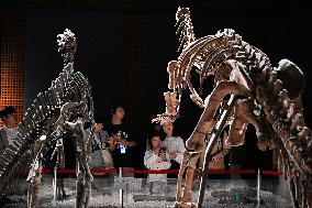 Visitors Visit The Nanjing Museum in Nanjing