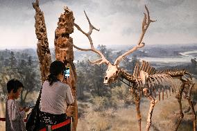 Visitors Visit The Nanjing Museum in Nanjing