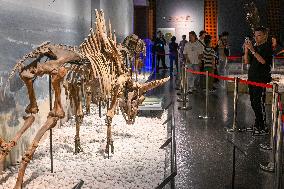 Visitors Visit The Nanjing Museum in Nanjing