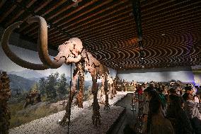 Visitors Visit The Nanjing Museum in Nanjing