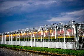 Greenhouse Farming - Netherlands