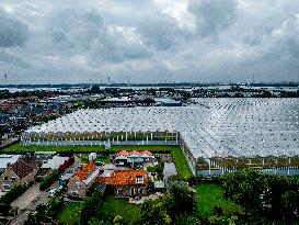 Greenhouse Farming - Netherlands