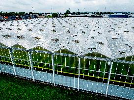 Greenhouse Farming - Netherlands