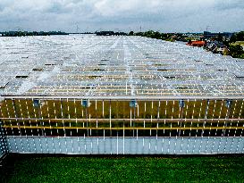 Greenhouse Farming - Netherlands