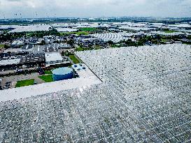 Greenhouse Farming - Netherlands