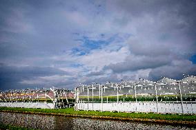 Greenhouse Farming - Netherlands