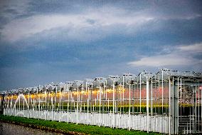 Greenhouse Farming - Netherlands