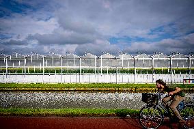 Greenhouse Farming - Netherlands