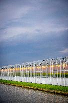 Greenhouse Farming - Netherlands