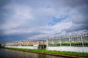 Greenhouse Farming - Netherlands